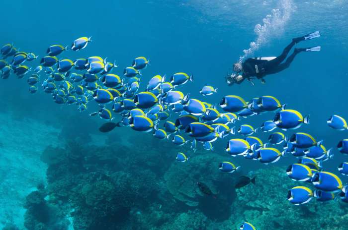 Scuba locations ocean silfra tectonique islandia